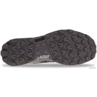 Кроссовки Inov-8 Roclite 290 (черный)