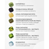 БАД Meitan Крепкое сибирское Лимфовитал (14 саше)