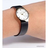 Наручные часы Skagen SKW2209