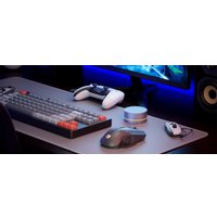 Регулятор громкости Fosi Audio VOL20 (серый)