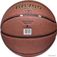 Баскетбольный мяч Atemi BB700N (7 размер)