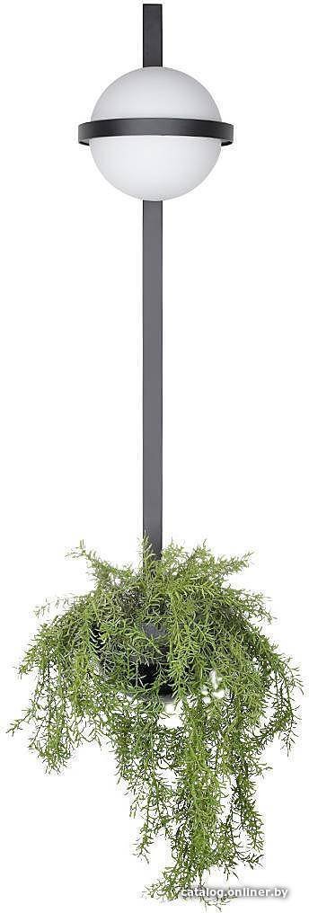 Бра LOFT IT Matisse 10008/6C Grey