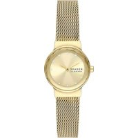 Наручные часы Skagen SKW3110