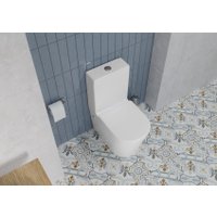 Унитаз напольный Lauter W76 P-TRAP 21122762 + гигиенический душ Infinity 21LT0103CH (горизонтальный выпуск)
