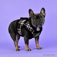 Шлейка-жилетка Puppia Dean Harness B PASD-HB1657-BK-S (черный)
