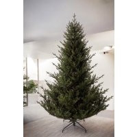 Ель GreenTerra Норвегия (2.5м)