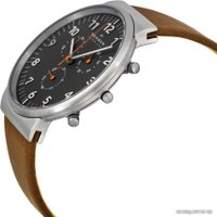 Наручные часы Skagen SKW6099