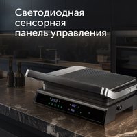 Электрогриль RED evolution SteakPRO RGM-M81