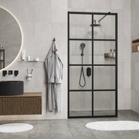 Душевая стенка Wasserkraft Glan 66W44