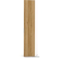 Шкаф распашной Шатура Soho FFD-01.DR/DT 487924