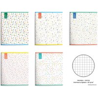 Полуобщая тетрадь Schoolformat Минималистичный паттерн ТОК48-МИП (48 л)