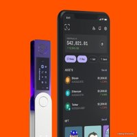 Аппаратный криптокошелек Ledger Nano X (фиолетовый)