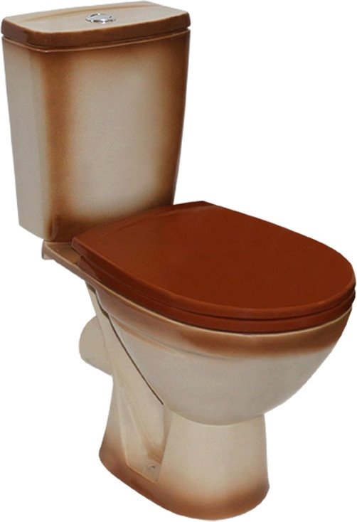 

Унитаз напольный Rosa Соло 537378 (коричневый)