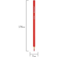 Набор цветных карандашей BRAUBERG Pastel 181851 (24 шт)