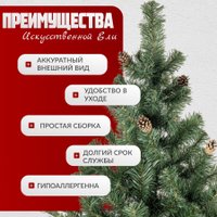 Ель Maxy Poland Русская с шишками (2.2м)