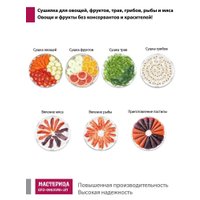 Сушилка для овощей и фруктов Мастерица EFD-0903VM (с прозрачными поддонами + 2 поддона для пастилы и лопатка)