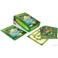 Настольная игра Мир Хобби Каркассон. Амазонка