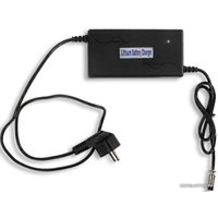 Мини-гироскутер Yesdzik V1 PRO (черный)