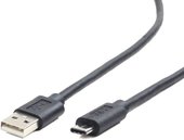 CCP-USB2-AMCM-1M