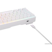 Клавиатура Royal Kludge RK71 RGB (белый, RK Red)