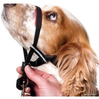 Недоуздок Halti Optifit Headcollar M (черный)
