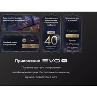 Телевизор Evo TV 32 Black TD0051751RU