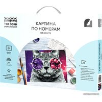 Картина по номерам Три совы Кошачий космос КХ_44089