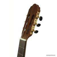 Акустическая гитара Hora Proandalus 10AS