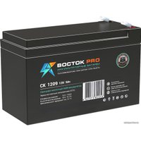 Аккумулятор для ИБП Восток СК-1209 (12В/9 А·ч)
