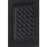 Школьный рюкзак Schoolformat Ergonomic + Wild Cat РЮКЖКРД-ВКТ