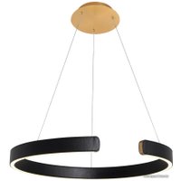 Подвесная люстра LOFT IT Ring 10025/600 Black