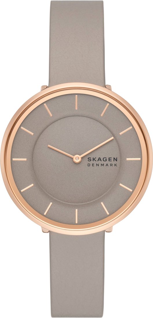 

Наручные часы Skagen Gitte SKW3061