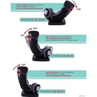 Детское автокресло Amarobaby Professional (серый/черный)