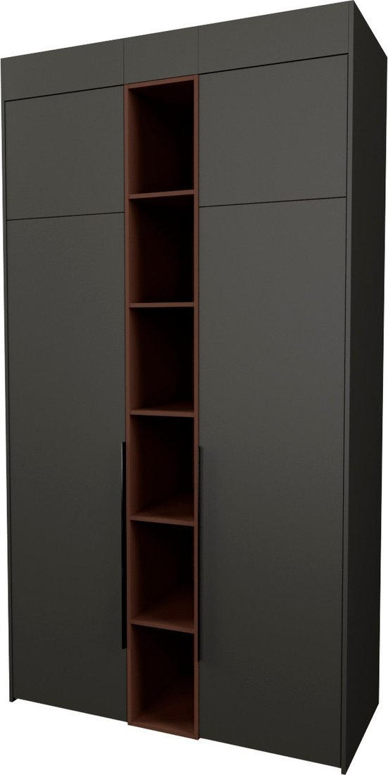 

Шкаф распашной Рэйгрупп Рэй S274-В4-WKL В4 (дуб веллингтон/кобальт/античная латунь)