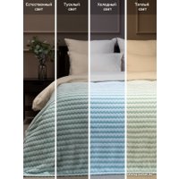 Плед Tex Republic Absolute Зигзаг двухцветный Flannel 200x220 92577 (бирюзовый) в Солигорске