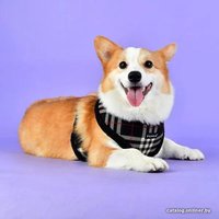 Шлейка-жилетка Puppia Dean Harness A PASD-HA1657-BK-XL (черный)