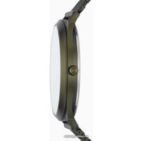 Наручные часы Skagen SKW6425