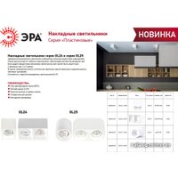 Спот ЭРА OL25-1 Б0054383