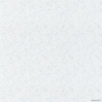 Виниловые обои Vilia Wallpaper Арго Ф1-10 1389-21