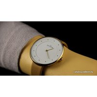Наручные часы Skagen SKW2137 в Пинске