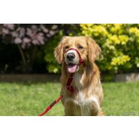 Недоуздок Halti Headcollar Size 3 (красный)