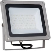 006 FL LED 50W 6500K IP65