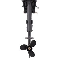 Лодочный мотор Seanovo SN9.8FHS
