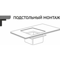 Кухонная мойка Asteria A5045NB-D1 (черный декор) в Витебске