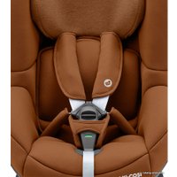 Детское автокресло Maxi-Cosi Tobi 2020 (authentic cognac)