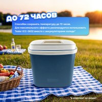 Термобокс Tesler ICC-3632 36л (синий)
