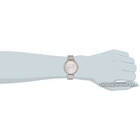 Наручные часы Skagen SKW2149