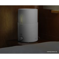 Увлажнитель воздуха Deerma Humidifier White DEM-SJS600 (с переходником на евровилку)