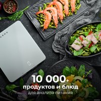 Кухонные весы AENO KS1S