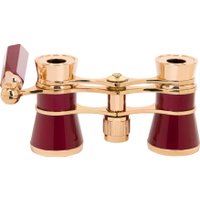 Бинокль Levenhuk Broadway 325E 81862